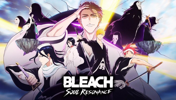 Bleach Soul Resonance